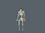 skeletal system
