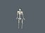 skeletal system