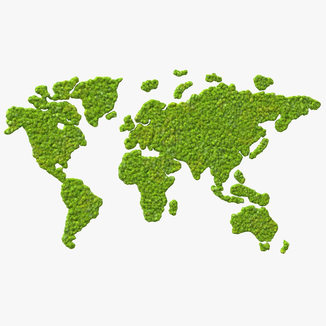 World Map Phytowall Reindeer Moss Panel 3D model preview