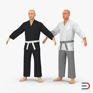 karate fighters 3D model