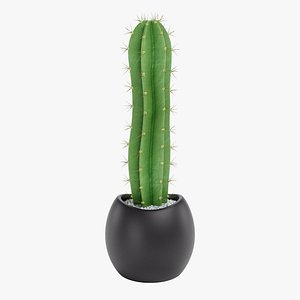 Modello 3D Lego Cactus - TurboSquid 1970793