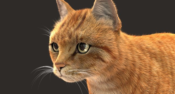 3D cat animation model - TurboSquid 1327406