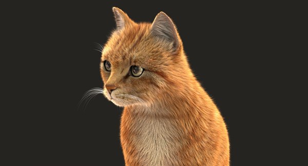 3D cat animation model - TurboSquid 1327406