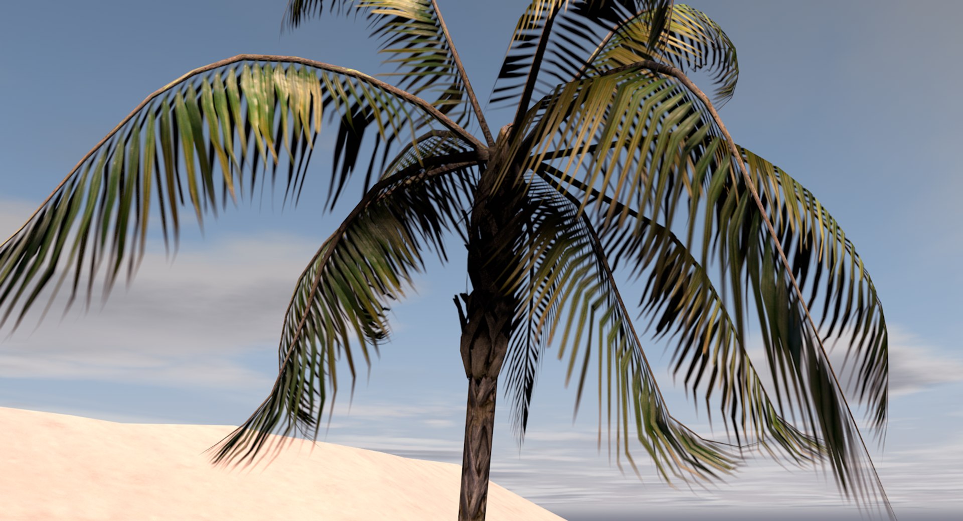 Palmtree 3D Model - TurboSquid 1259156
