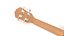 Ukulele