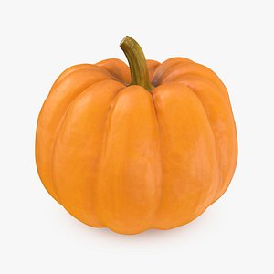Pumpkin Jack Be Little