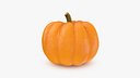 Pumpkin Jack Be Little