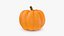 Pumpkin Collection 3