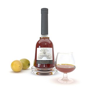 cognac chardonnay 3D model