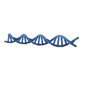 DNA
