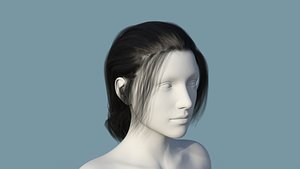 Realistic Female Polygon Black Hair 37 3D model