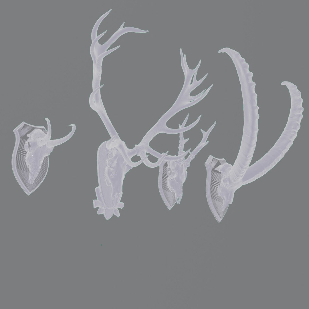 Antler 3D https://p.turbosquid.com/ts-thumb/kW/8ecQR9/8O/antleraustriawire/jpg/1678095508/1920x1080/fit_q87/c51247ddc3536881fa55fc442b87e096bf132659/antleraustriawire.jpg