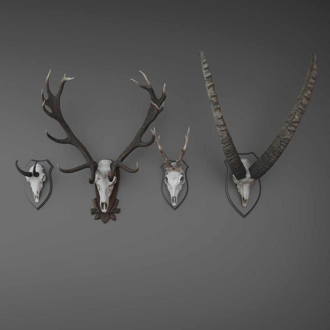 Antler 3D https://p.turbosquid.com/ts-thumb/kW/8ecQR9/DW/antleraustria3/png/1678095511/1920x1080/fit_q87/3514180d8e7e9a00075f8b775bb21214847cc35b/antleraustria3.jpg