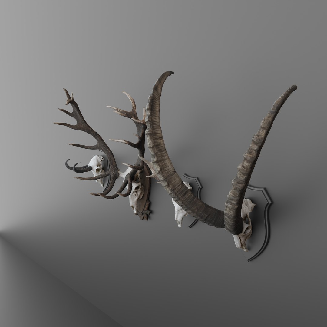 Antler 3D https://p.turbosquid.com/ts-thumb/kW/8ecQR9/P7/antleraustria4/png/1678096816/1920x1080/fit_q87/4e5664085a8906392fd225196b1753f3097846d8/antleraustria4.jpg