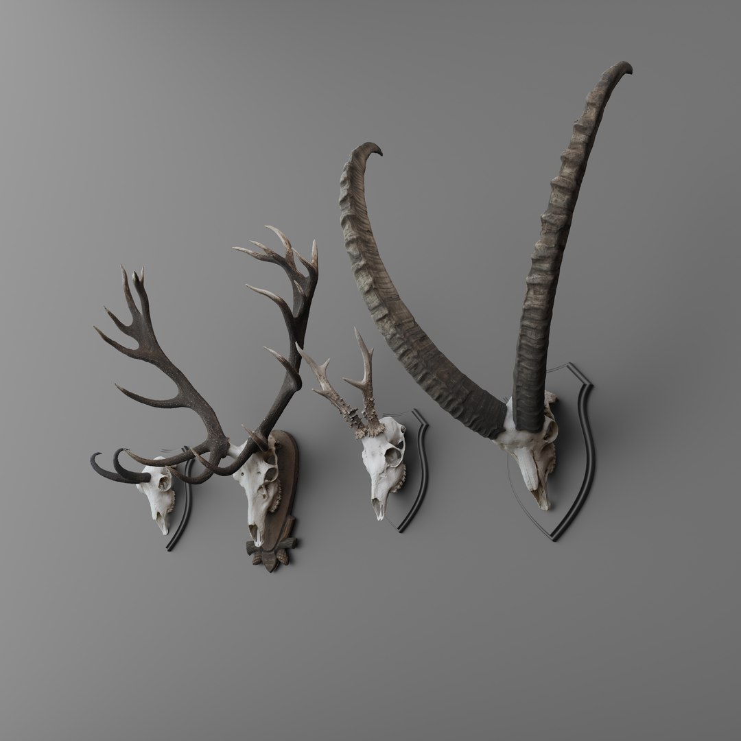 Antler 3D https://p.turbosquid.com/ts-thumb/kW/8ecQR9/ZE/antleraustria2/png/1678095512/1920x1080/fit_q87/c77498a56880e496ed831de32af9f5171c2bbf51/antleraustria2.jpg