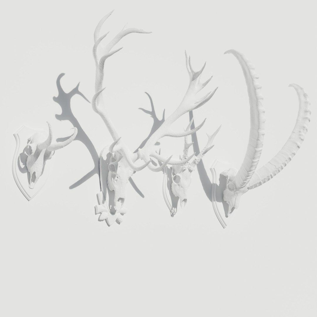 Antler 3D https://p.turbosquid.com/ts-thumb/kW/8ecQR9/Zp/antleraustria/jpg/1678095508/1920x1080/fit_q87/9470eec0e735bf97eeb37d35174a510ab7874853/antleraustria.jpg