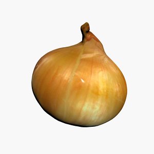 3D Onion 3D Scan High Quality