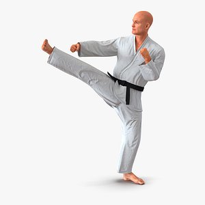 karate fighter pose 2 3d model