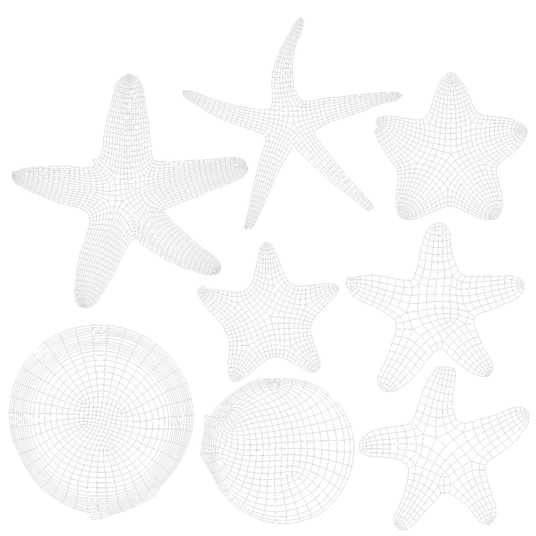 3D Starfish and Brown seaweed https://p.turbosquid.com/ts-thumb/kW/IhLOVF/47/starfish_uv/png/1742916011/1920x1080/fit_q87/0118778ca172658c7ee86a39427fd87bda077bb1/starfish_uv.jpg