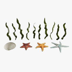 Starfish and Brown seaweed