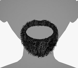 3D Facial Hair Cards Style 8 - Curly Circle Beard