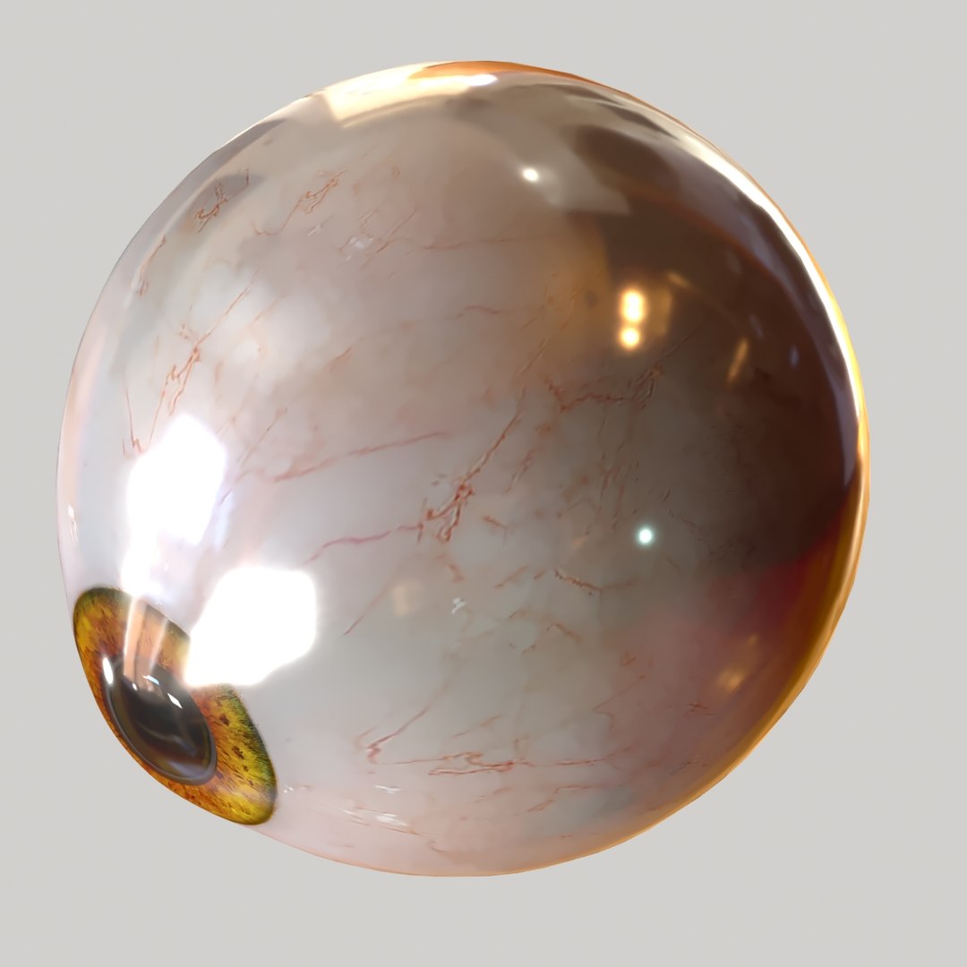 Realistic Human Eye 3d Model
