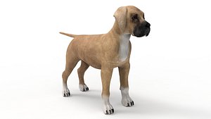 3D pup great dane