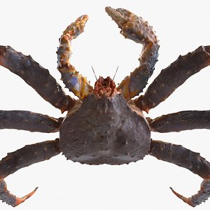 king crab 3D model