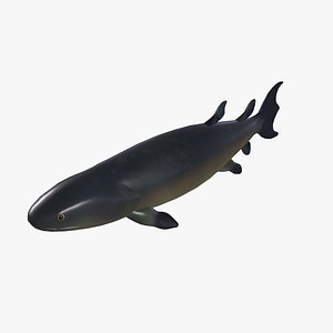 Eusthenopteron Fish