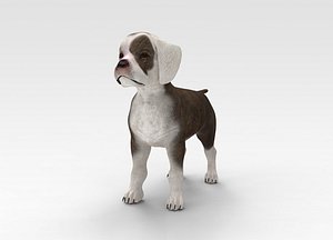 Beagle Puppy 3D model