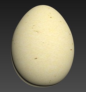 max egg