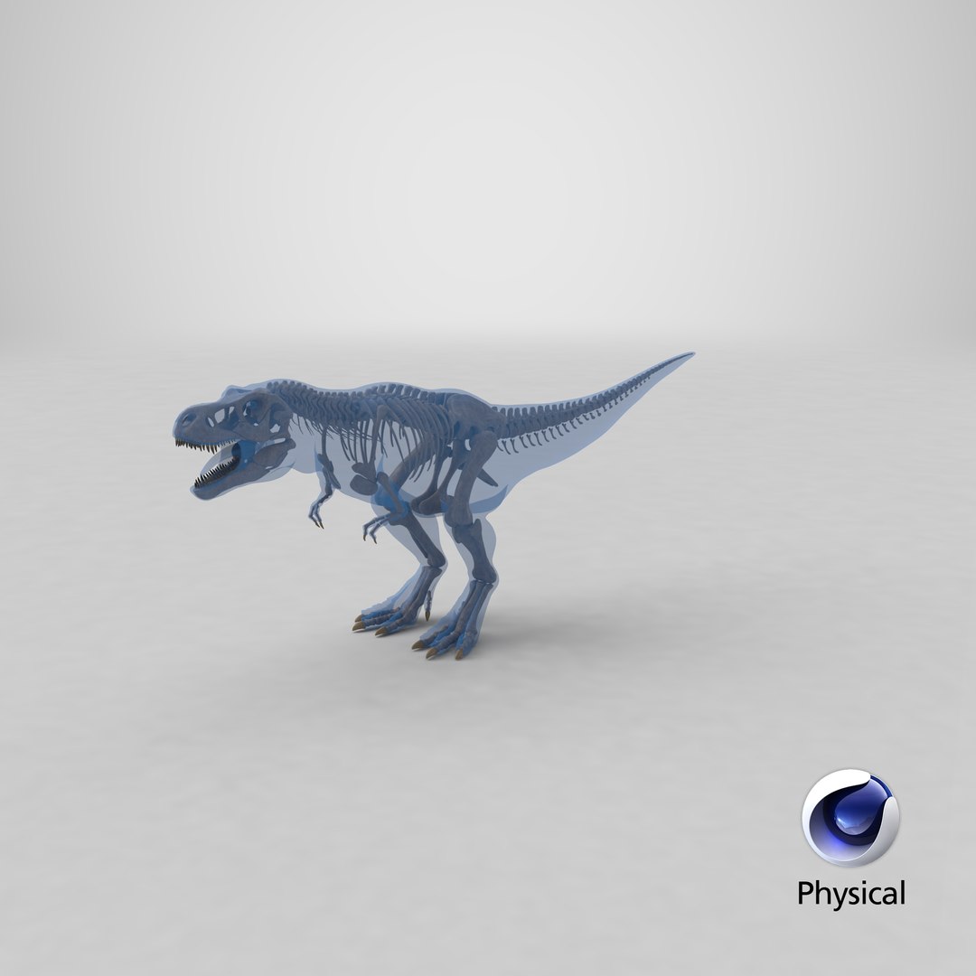 tyrannosaurus rex skeleton fossil 3D model https://p.turbosquid.com/ts-thumb/kW/sKibLm/2D/stemcell_cinema_4d_physical_render/png/1647532556/1920x1080/fit_q87/fd5679781cca836eedc5ae4c67f1f6c584074773/stemcell_cinema_4d_physical_render.jpg