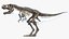 Tyrannosaurus Rex Fossile di scheletro con pelle