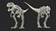 Tyrannosaurus Rex Fossile di scheletro con pelle
