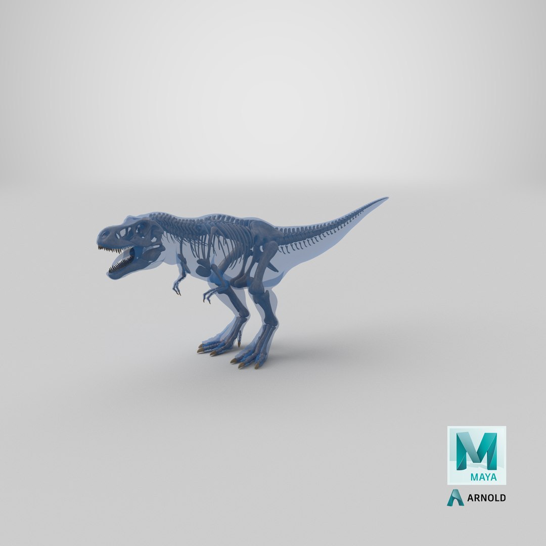 tyrannosaurus rex skeleton fossil 3D model https://p.turbosquid.com/ts-thumb/kW/sKibLm/JG/stemcell_maya_arnold_render/png/1647532570/1920x1080/fit_q87/889da9fab246489d97cf5ee25bd499a25b83ff83/stemcell_maya_arnold_render.jpg