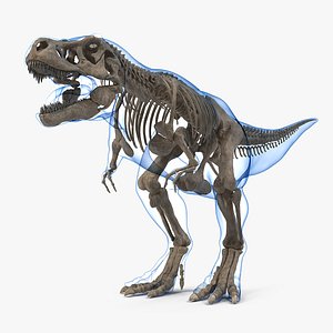 Espécimes de esqueleto de tiranossauro Sue Triceratops, tiranossauro rex,  tiranossauro, personagem fictício png