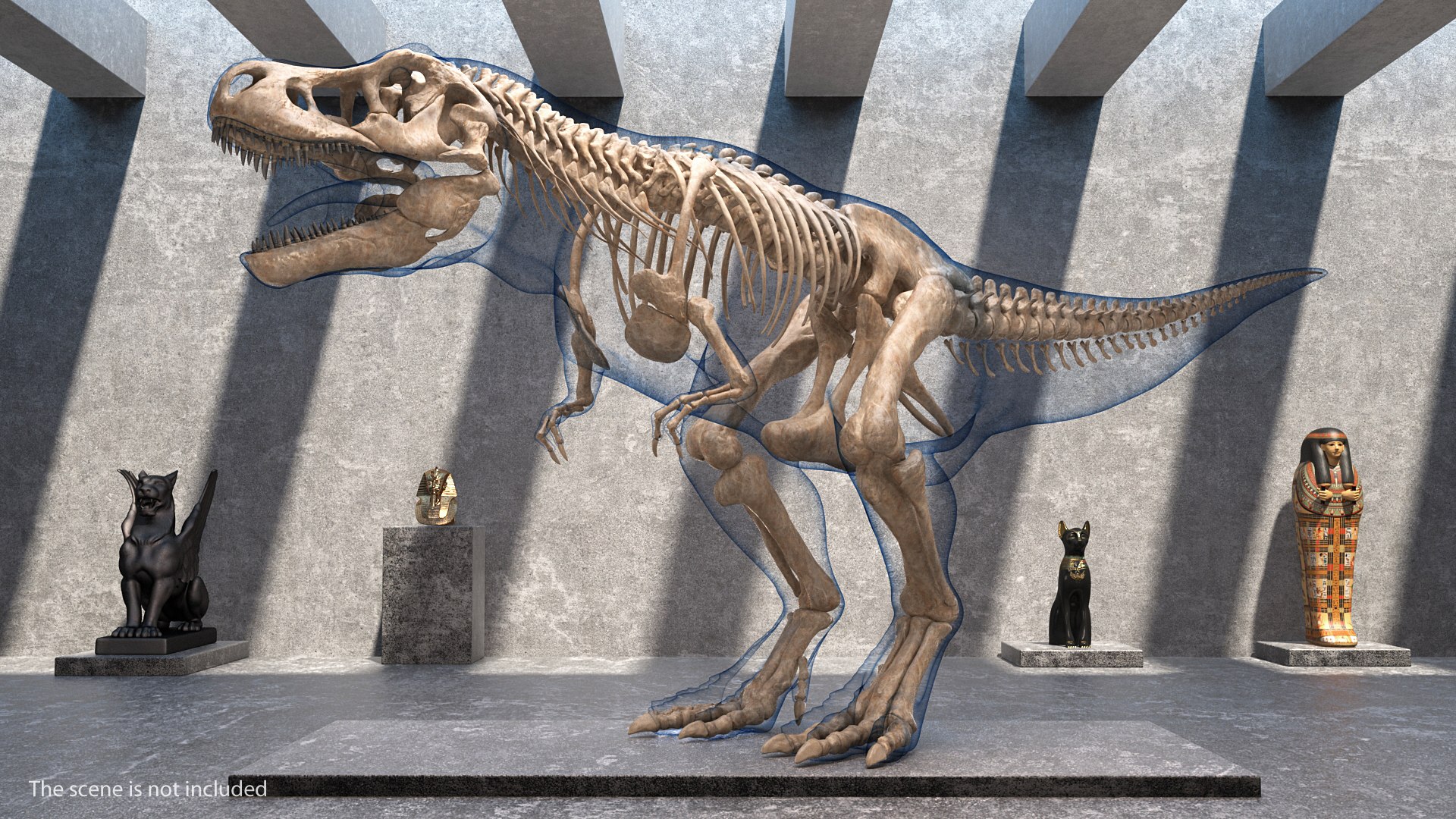 tyrannosaurus rex skeleton fossil 3D model https://p.turbosquid.com/ts-thumb/kW/sKibLm/paZzmQW1/tyrannosaurusrexskeletonfossilwithskinvray3dmodel002/jpg/1576151404/1920x1080/fit_q87/f25921b6f0083f5121431493c99806db2c4f9c87/tyrannosaurusrexskeletonfossilwithskinvray3dmodel002.jpg