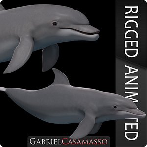 dolphin tursiops truncatus 3D