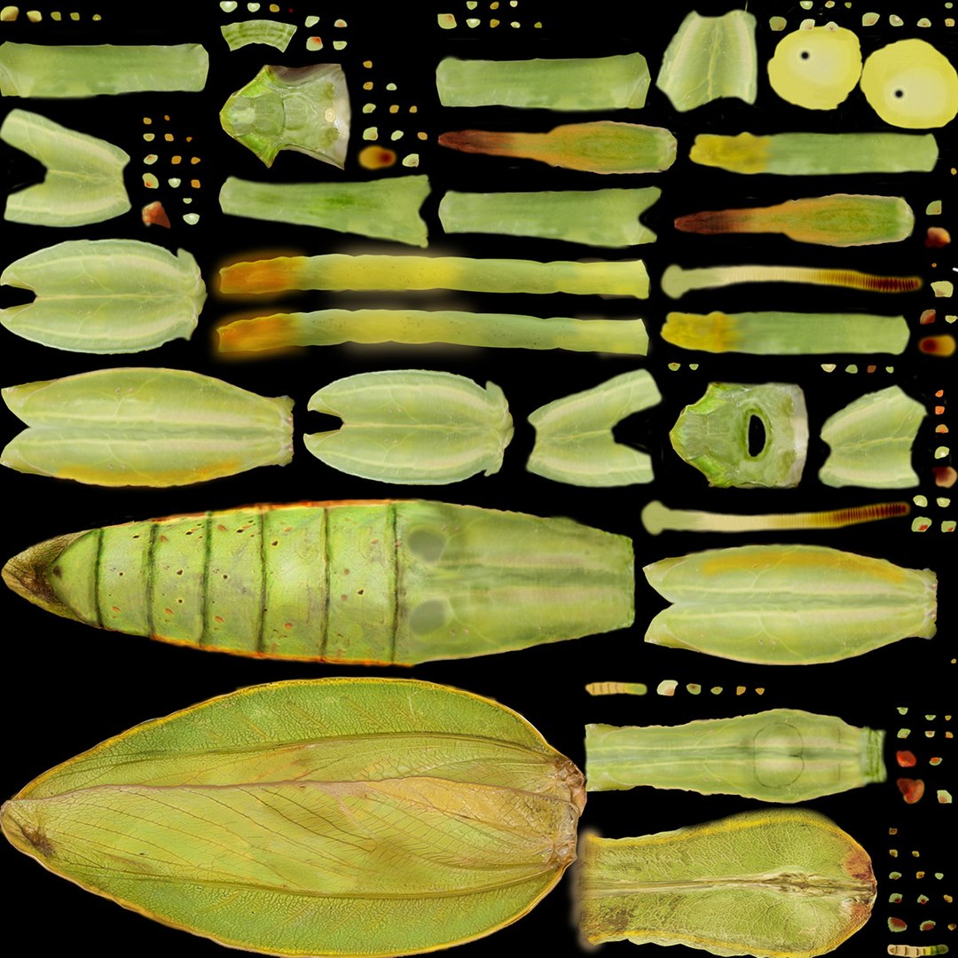 mantis 3d model https://p.turbosquid.com/ts-thumb/kX/225FZS/NmWs1YeB/mantis8/jpg/1445319461/1920x1080/fit_q87/dab98eb0cf8fcaa65885b4d4063147b52314fcea/mantis8.jpg