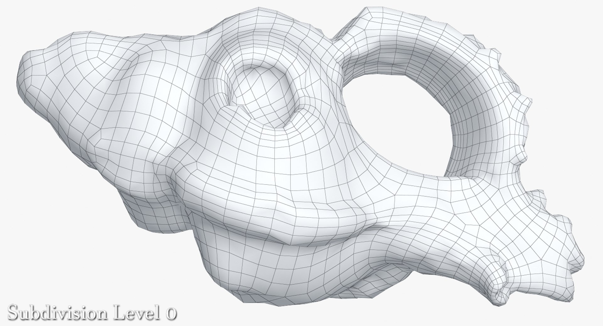 Old Sea Shell 3d Model