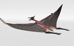 pterosour animation flying 3D model