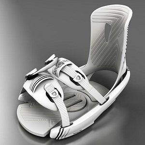 3dsmax bindings