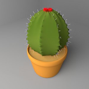 3D cactus plant 3