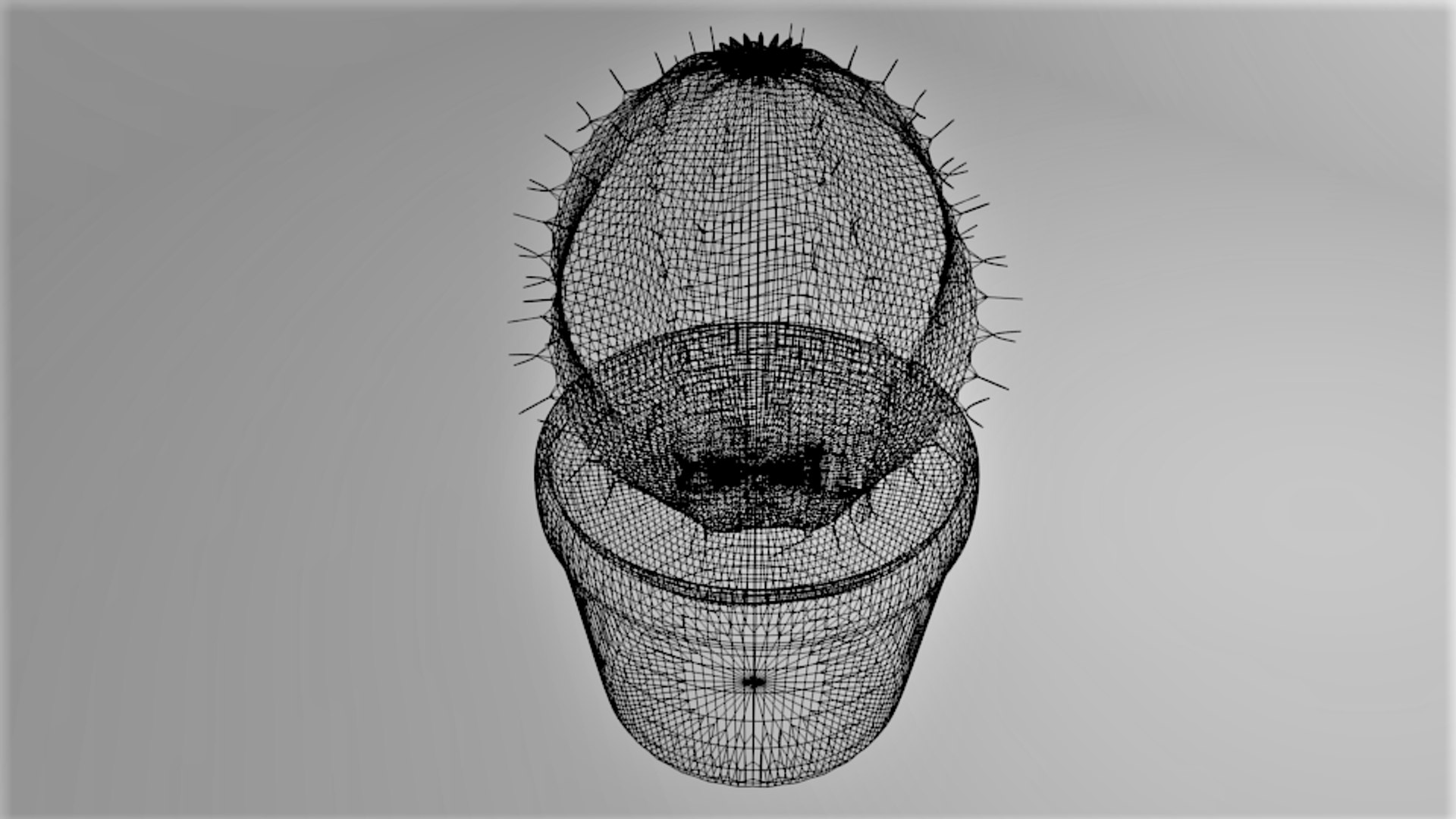 3D cactus plant 3 https://p.turbosquid.com/ts-thumb/kX/NroSWJ/NBiwNKMr/wireframe_2/png/1590114177/1920x1080/fit_q87/9b34d344588564eeeb335f742e24beb25c4313a3/wireframe_2.jpg