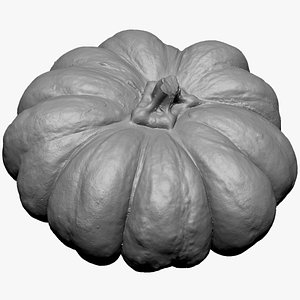 Pumpkin ZBrush engraving highpoly 3D model