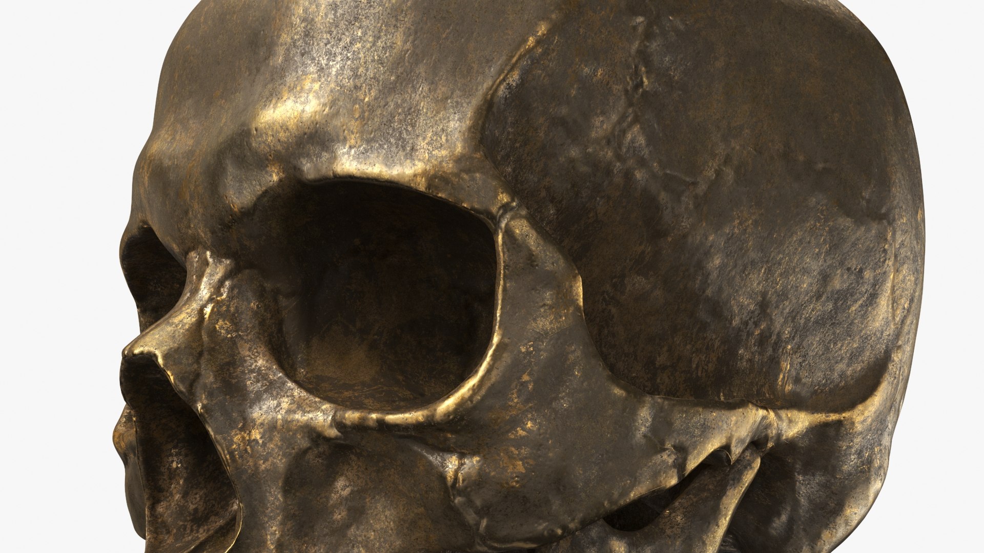 3D Human Skull Sci-fi Gold https://p.turbosquid.com/ts-thumb/kX/RUBwf4/2c/b_view07/jpg/1668523695/1920x1080/fit_q87/ddb1405b581373a6ac241f04eba399422f16f7c1/b_view07.jpg