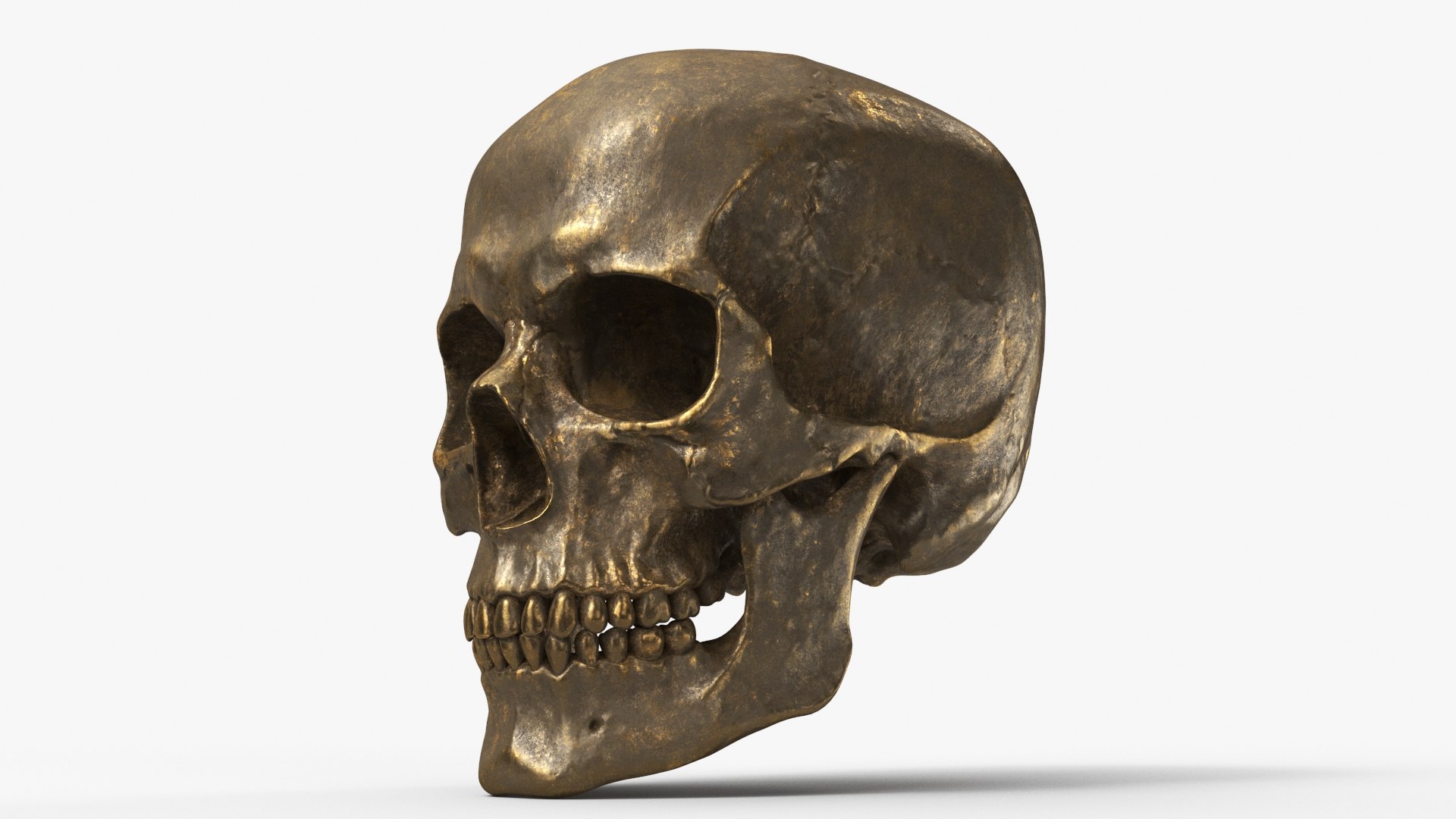 3D Human Skull Sci-fi Gold https://p.turbosquid.com/ts-thumb/kX/RUBwf4/NW/b_view03/jpg/1668523687/1920x1080/fit_q87/d5f71d849187b98888acef6755f61d3ba7a0e446/b_view03.jpg