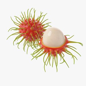 3D Cartoon Rambutan Set model