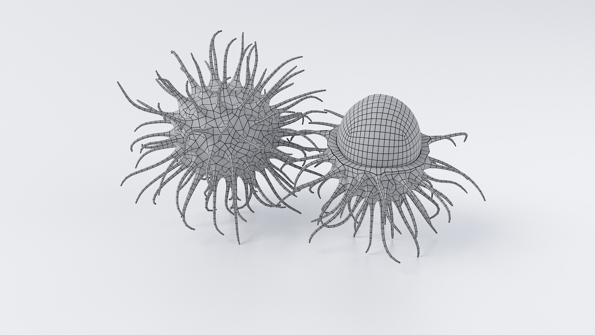 3D Cartoon Rambutan Set model https://p.turbosquid.com/ts-thumb/kX/SKYo9U/V5/rambutan_set_09/jpg/1690357481/1920x1080/fit_q87/1cc15d43ec58f37d977989de584cdab170c485e6/rambutan_set_09.jpg