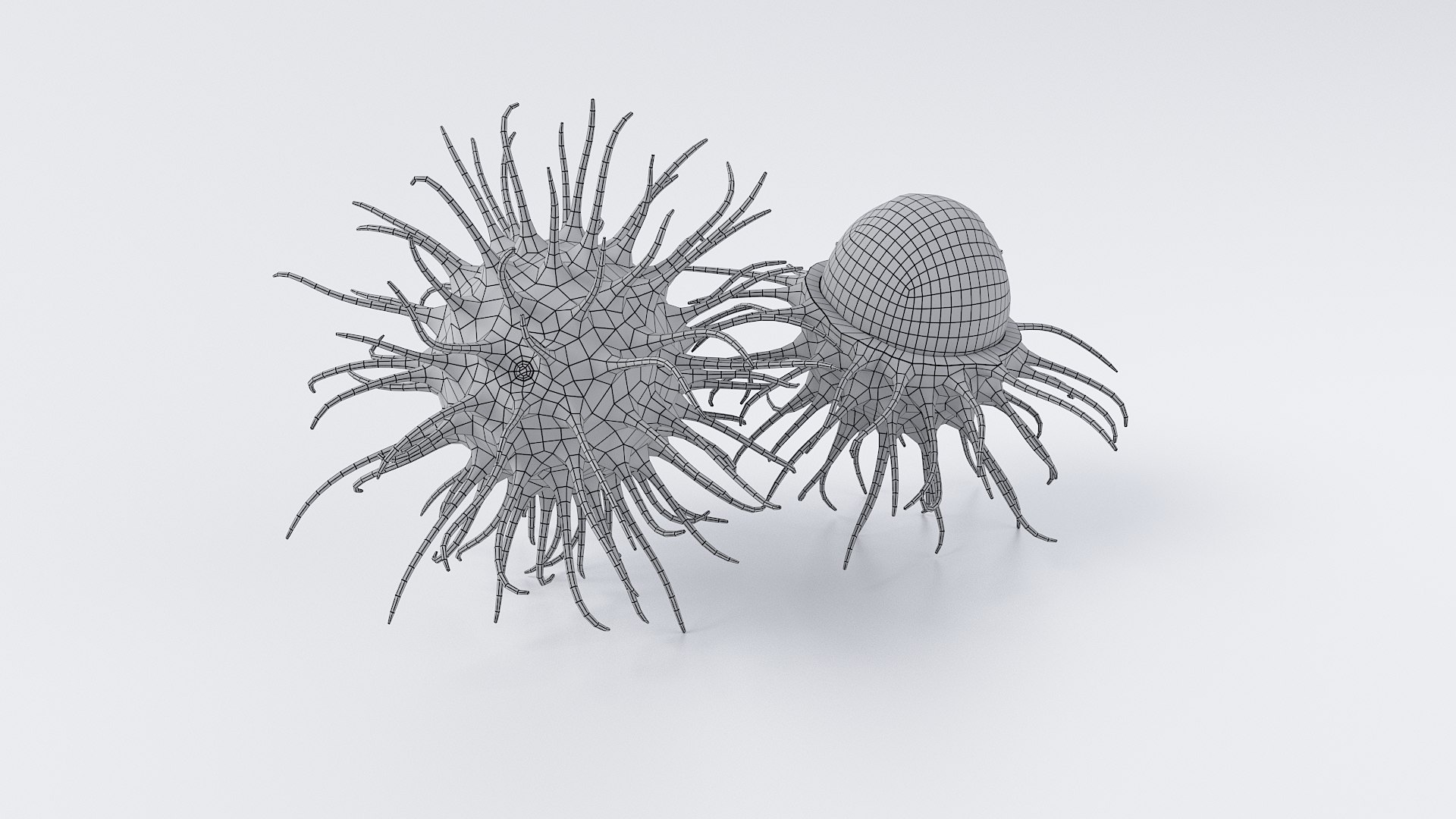 3D Cartoon Rambutan Set model https://p.turbosquid.com/ts-thumb/kX/SKYo9U/c2/rambutan_set_10/jpg/1690357482/1920x1080/fit_q87/dd11c6bb26ea553c18549c2c55e03fd23bec4345/rambutan_set_10.jpg
